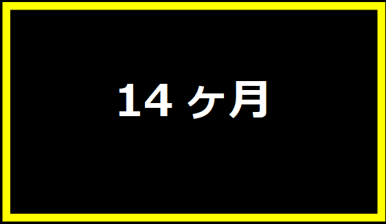 14ヶ月